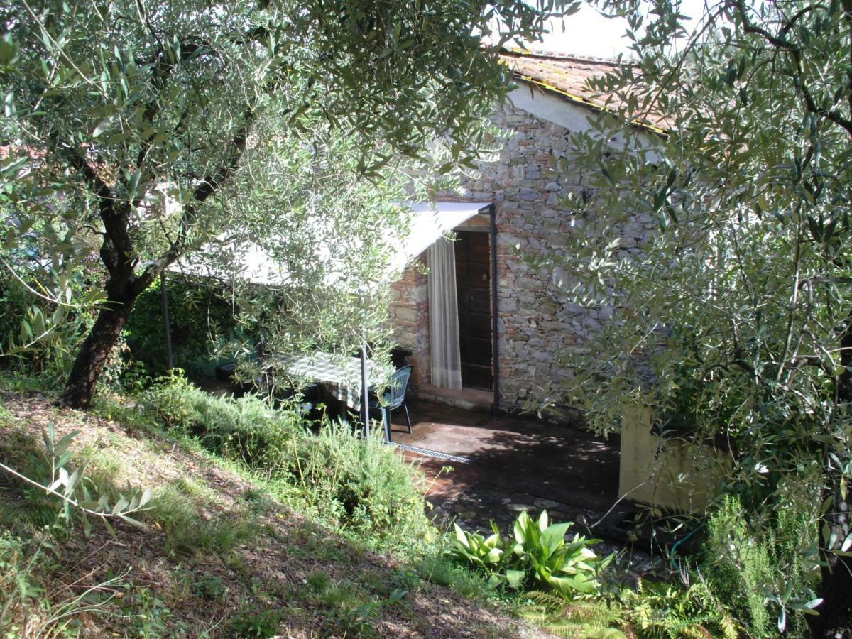 Il Fienile Villa Ripafratta Exteriör bild