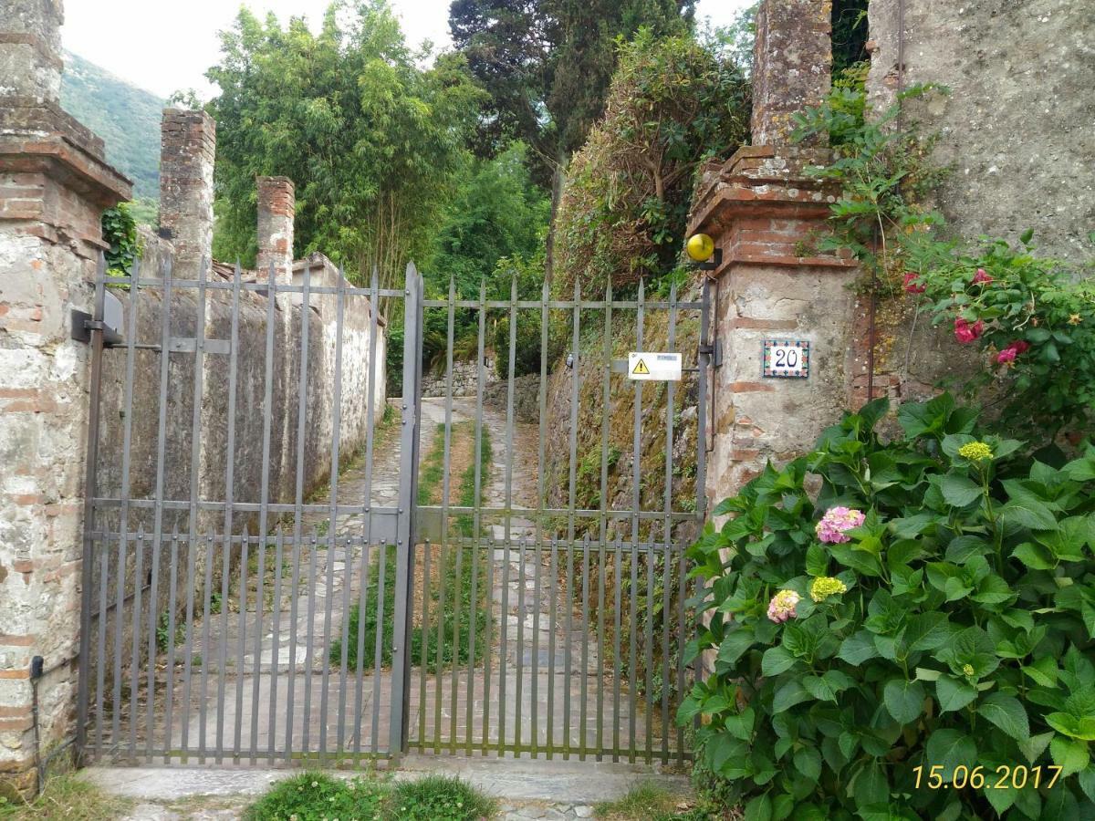 Il Fienile Villa Ripafratta Exteriör bild
